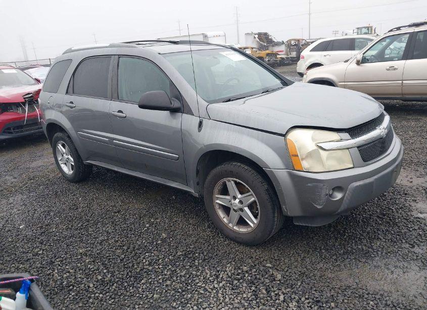 2005 Chevrolet Equinox LT (VIN 2CNDL63F156179512) main photo