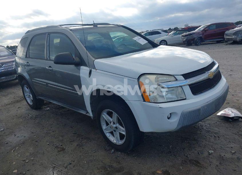 2005 Chevrolet Equinox LT (VIN 2CNDL63F456002436) main photo
