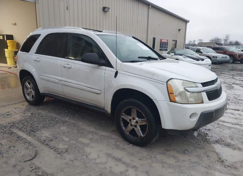 2005 Chevrolet Equinox LT (VIN 2CNDL63F556042332) main photo