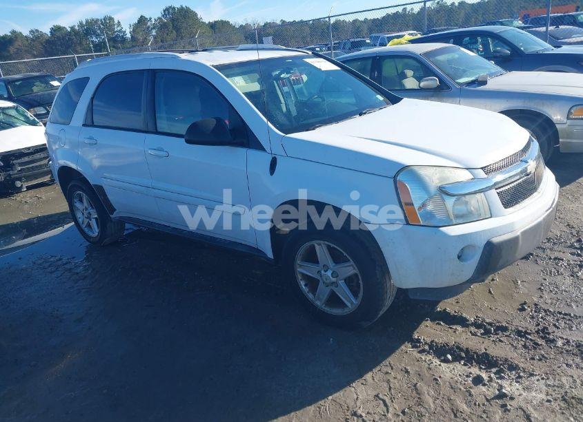 2005 Chevrolet Equinox LT (VIN 2CNDL63F856046164) main photo