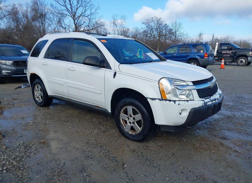 2005 Chevrolet Equinox LT (VIN 2CNDL73F856157397) main photo