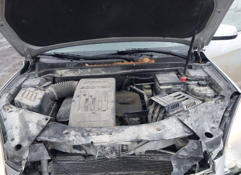 Photo 10 of 2010 Chevrolet Equinox LT (VIN 2CNFLEEW8A6292450)