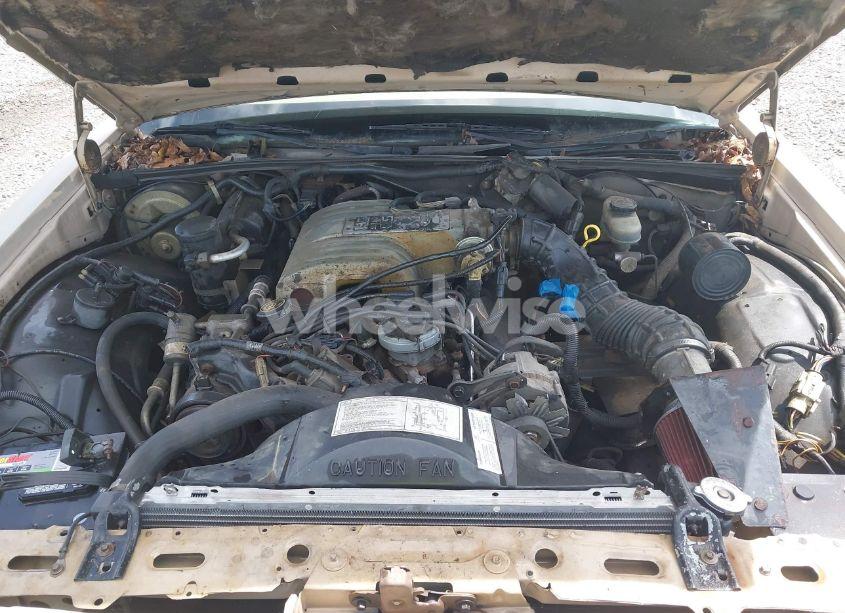 Photo 10 of 1989 Ford Crown VICTORIA (VIN 2FABP73F6KX212652)