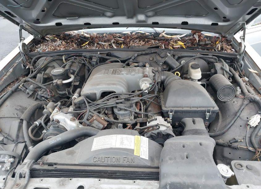 Photo 10 of 1988 Ford Crown VICTORIA LX (VIN 2FABP74F2JX162653)