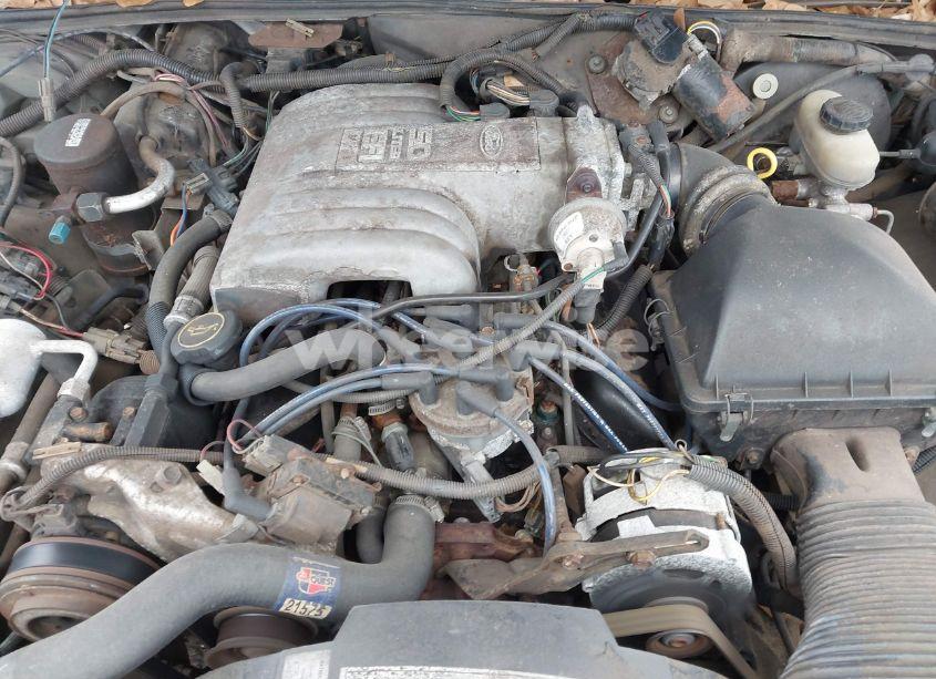 Photo 10 of 1988 Ford Crown VICTORIA LX (VIN 2FABP74F4JX106181)