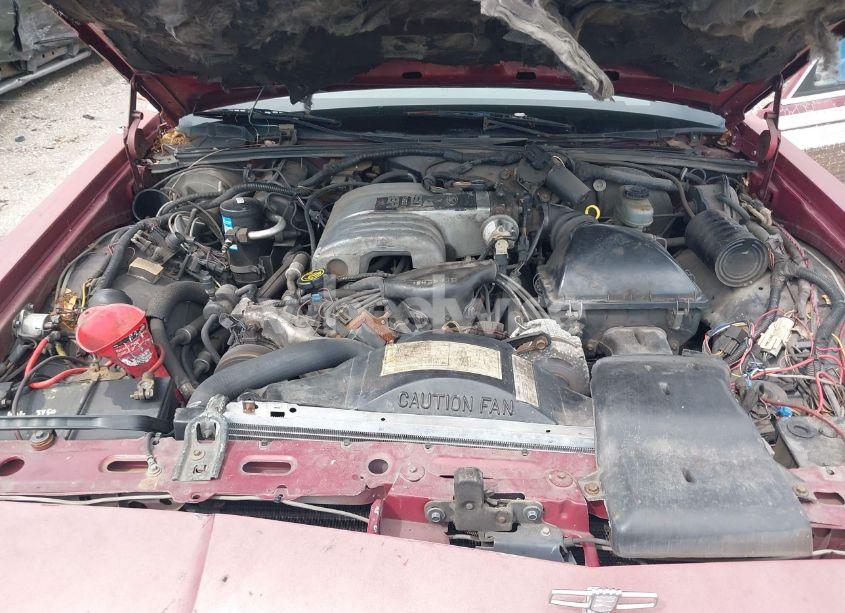 Photo 10 of 1988 Ford Crown VICTORIA COUNTRY SQUIRE LX (VIN 2FABP79F3JX156692)