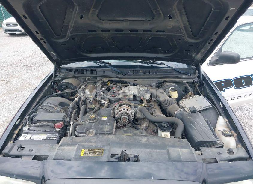 Photo 10 of 2011 Ford Crown VICTORIA POLICE INTERCEPTOR (VIN 2FABP7BV4BX101686)