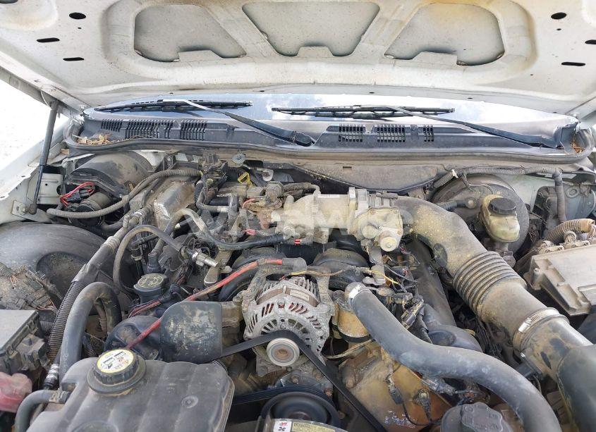 Photo 10 of 2008 Ford Crown VICTORIA POLICE/POLICE INTERCEPTOR (VIN 2FAFP71V98X142469)