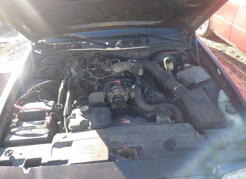 Photo 10 of 2008 Ford Crown VICTORIA POLICE/POLICE INTERCEPTOR (VIN 2FAFP71VX8X119024)