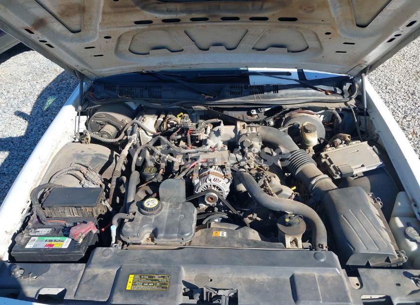 Photo 10 of 2008 Ford Crown VICTORIA POLICE/POLICE INTERCEPTOR (VIN 2FAFP71VX8X128497)