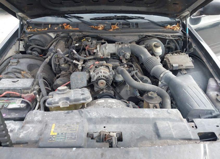 Photo 10 of 2005 Ford Crown VICTORIA POLICE (VIN 2FAFP71W05X179625)