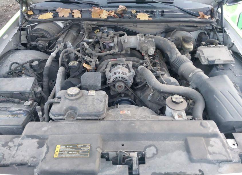 Photo 10 of 2006 Ford Crown VICTORIA POLICE/POLICE INTERCEPTOR (VIN 2FAFP71W16X142472)