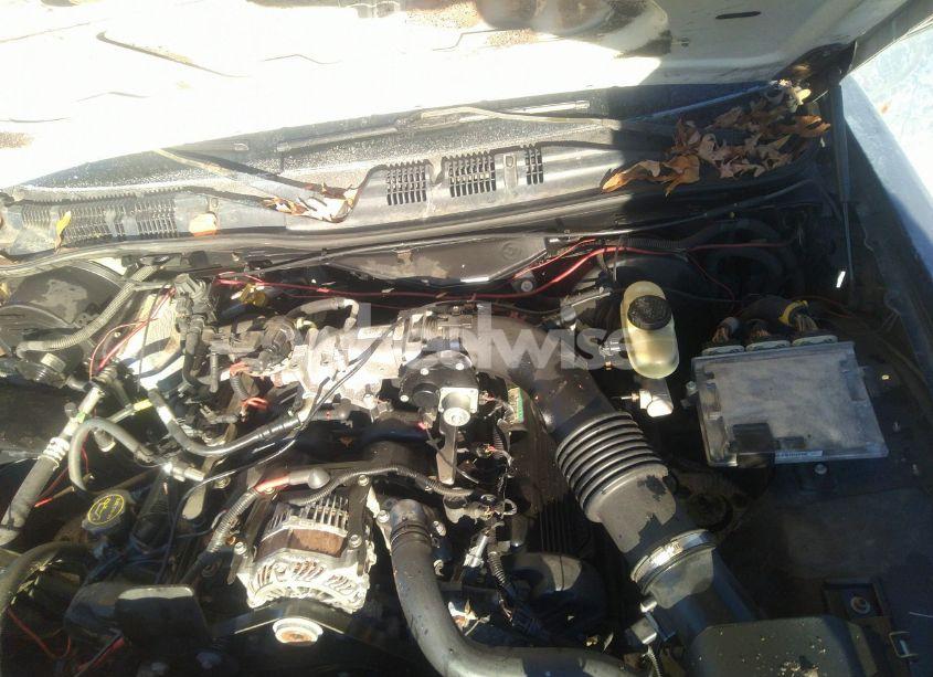 Photo 10 of 2005 Ford Crown VICTORIA POLICE (VIN 2FAFP71W25X138929)