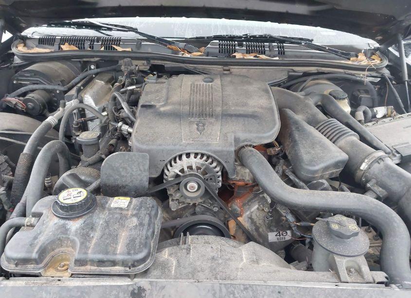 Photo 10 of 2007 Ford Crown VICTORIA STANDARD (VIN 2FAFP73V27X152109)