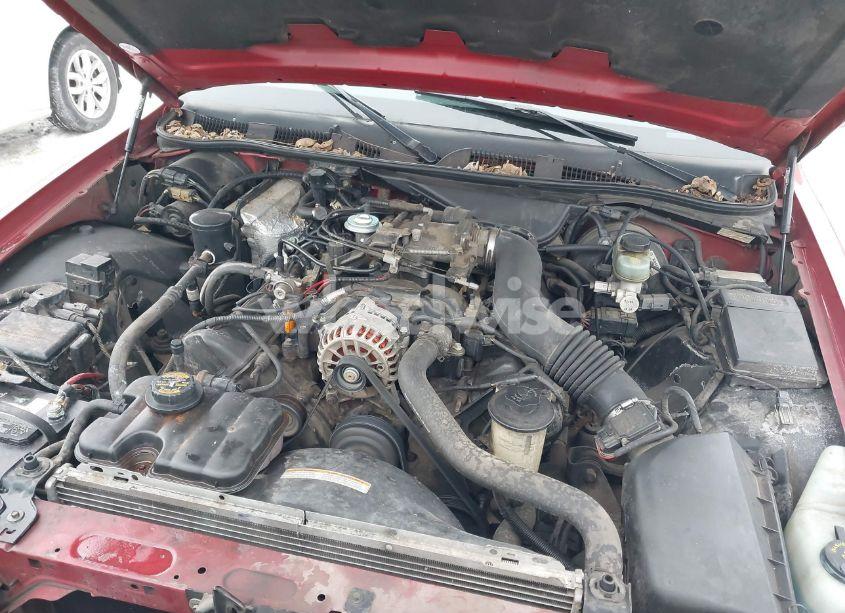 Photo 10 of 1998 Ford Crown VICTORIA (VIN 2FAFP73W3WX128232)