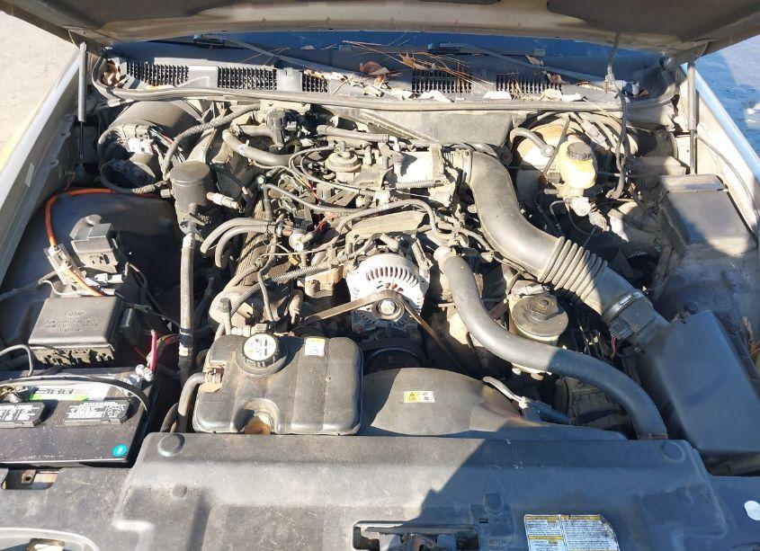 Photo 10 of 2002 Ford Crown VICTORIA STANDARD (VIN 2FAFP73W82X121660)