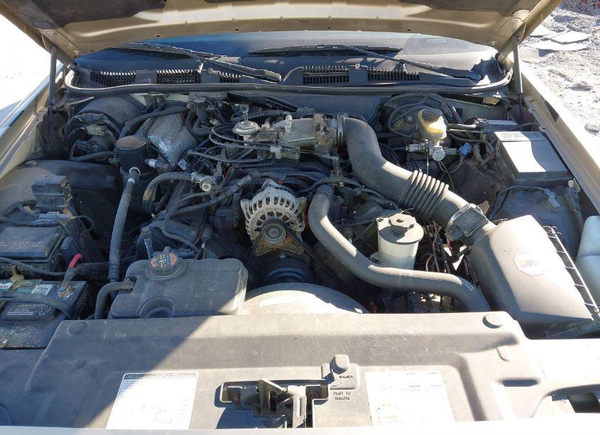 Photo 10 of 1999 Ford Crown VICTORIA (VIN 2FAFP73W8XX127305)