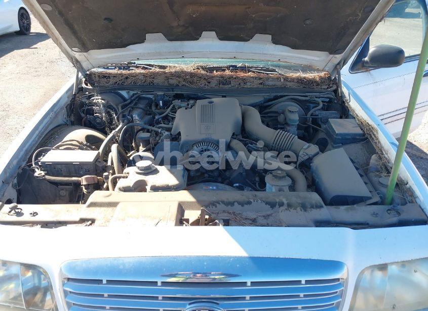 Photo 10 of 2003 Ford Crown VICTORIA LX (VIN 2FAFP74W63X183638)