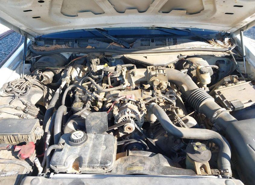 Photo 10 of 2008 Ford Crown VICTORIA POLICE/POLICE INTERCEPTOR (VIN 2FAHP71V48X102129)