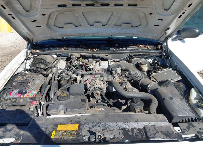 Photo 10 of 2009 Ford Crown VICTORIA POLICE/POLICE INTERCEPTOR (VIN 2FAHP71V49X132555)