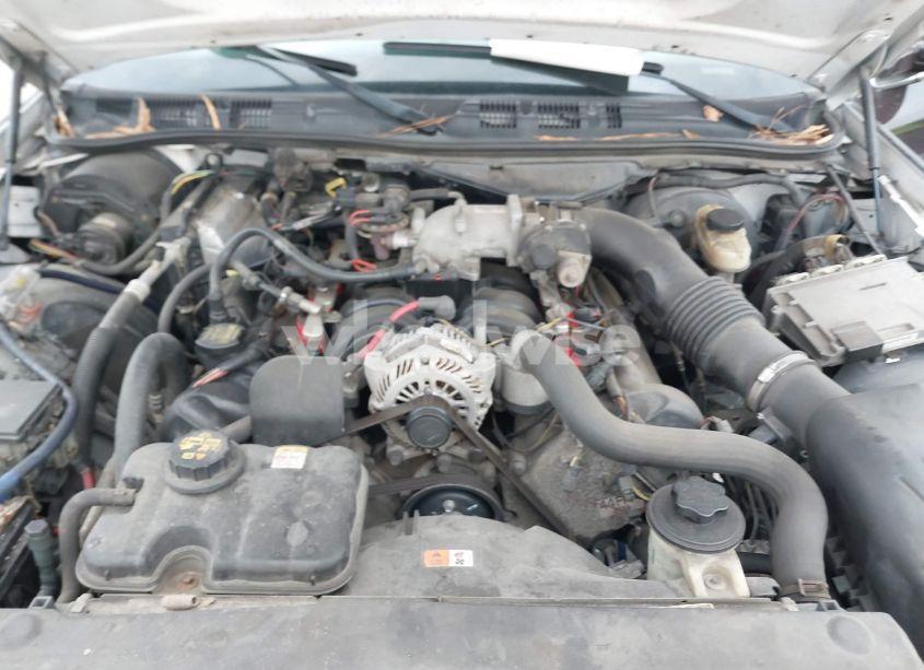 Photo 10 of 2009 Ford Crown VICTORIA (VIN 2FAHP71V79X132050)