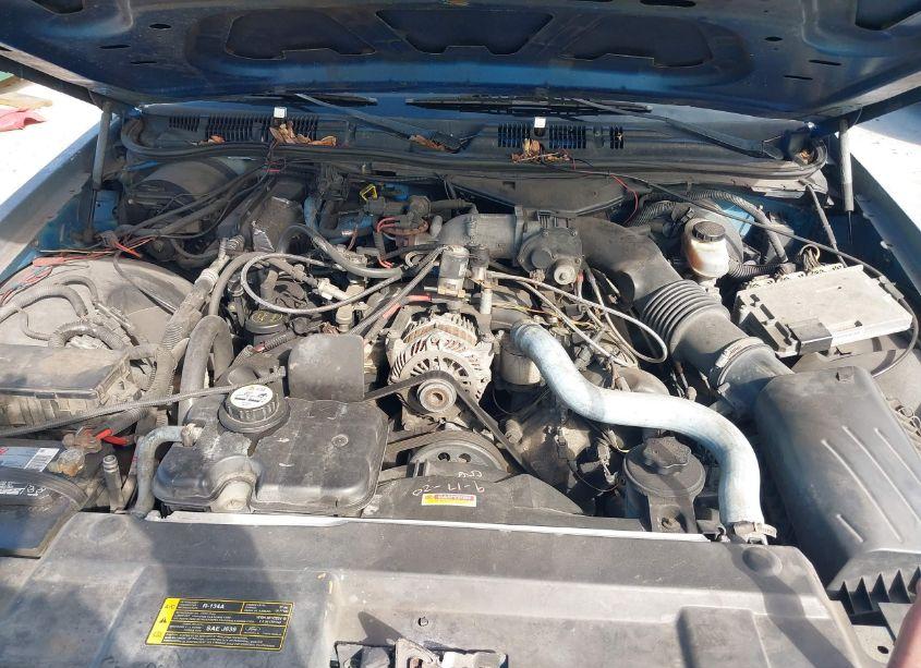 Photo 10 of 2008 Ford Crown VICTORIA POLICE/POLICE INTERCEPTOR (VIN 2FAHP71V88X135778)