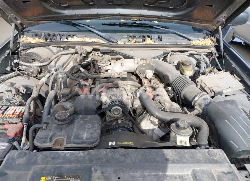 Photo 10 of 2009 Ford Crown VICTORIA POLICE/POLICE INTERCEPTOR (VIN 2FAHP71V99X123575)