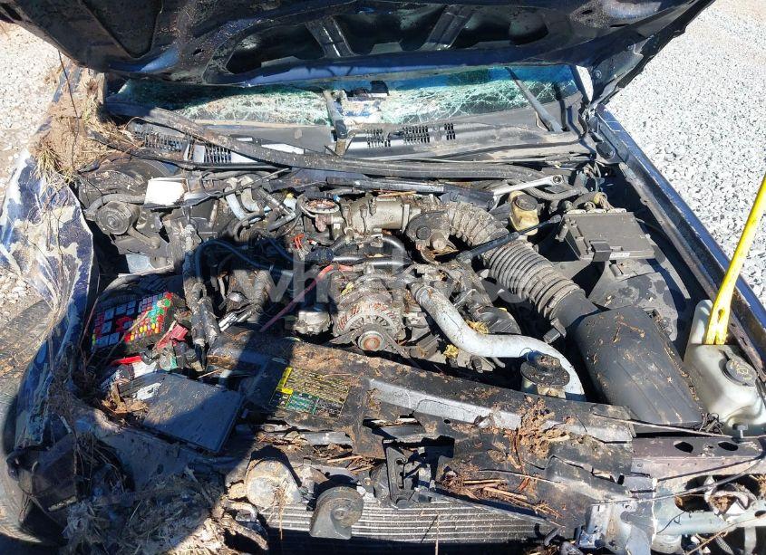 Photo 10 of 2005 Ford Crown VICTORIA POLICE (VIN 2FAHP71W05X102617)