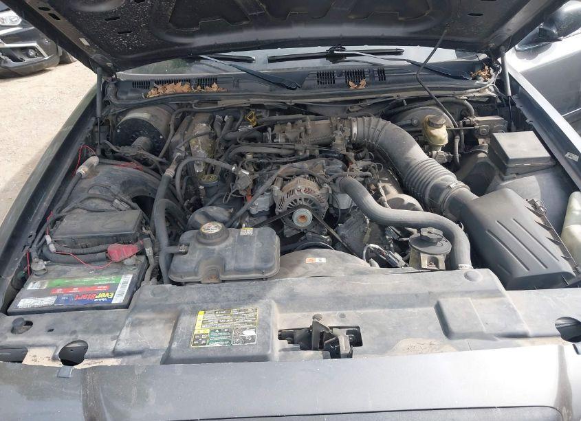 Photo 10 of 2004 Ford Crown VICTORIA POLICE (VIN 2FAHP71W24X134810)