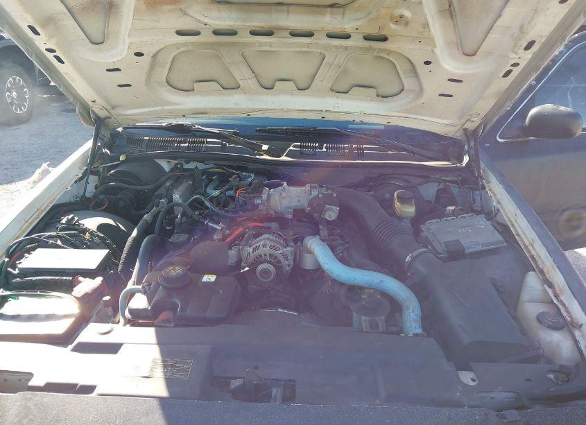 Photo 10 of 2007 Ford Crown VICTORIA POLICE/POLICE INTERCEPTOR (VIN 2FAHP71W27X159243)