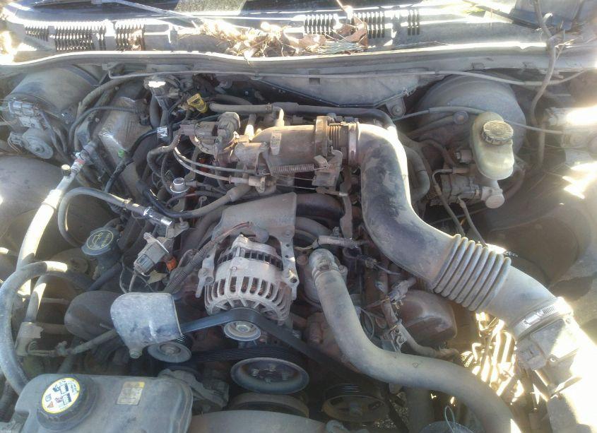 Photo 10 of 2003 Ford Crown VICTORIA POLICE (VIN 2FAHP71W73X213095)