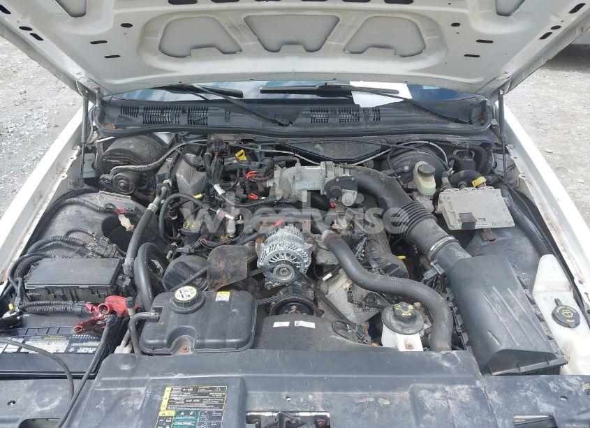Photo 10 of 2005 Ford Crown VICTORIA POLICE (VIN 2FAHP71W95X137155)