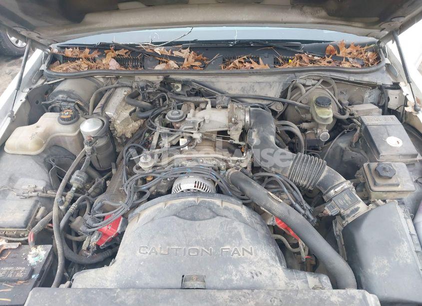 Photo 10 of 1997 Ford Crown VICTORIA (VIN 2FALP73W0VX139965)