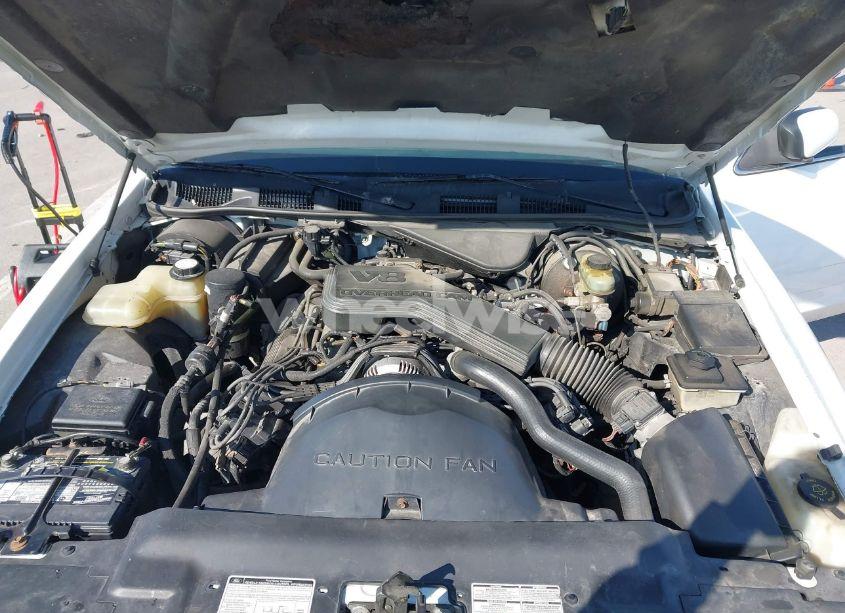 Photo 10 of 1995 Ford Crown VICTORIA LX (VIN 2FALP74W3SX123480)