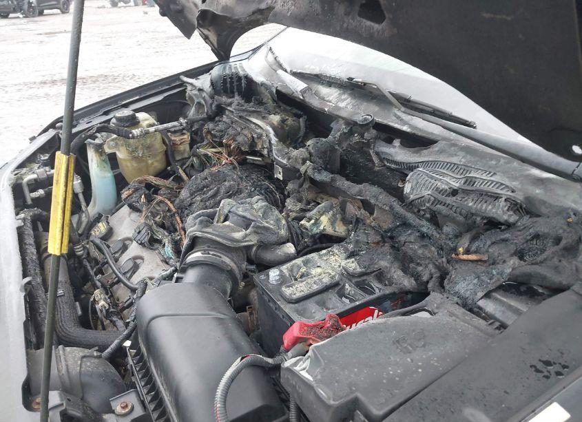 Photo 6 of 2008 Ford Edge LIMITED (VIN 2FMDK49C28BB09808)