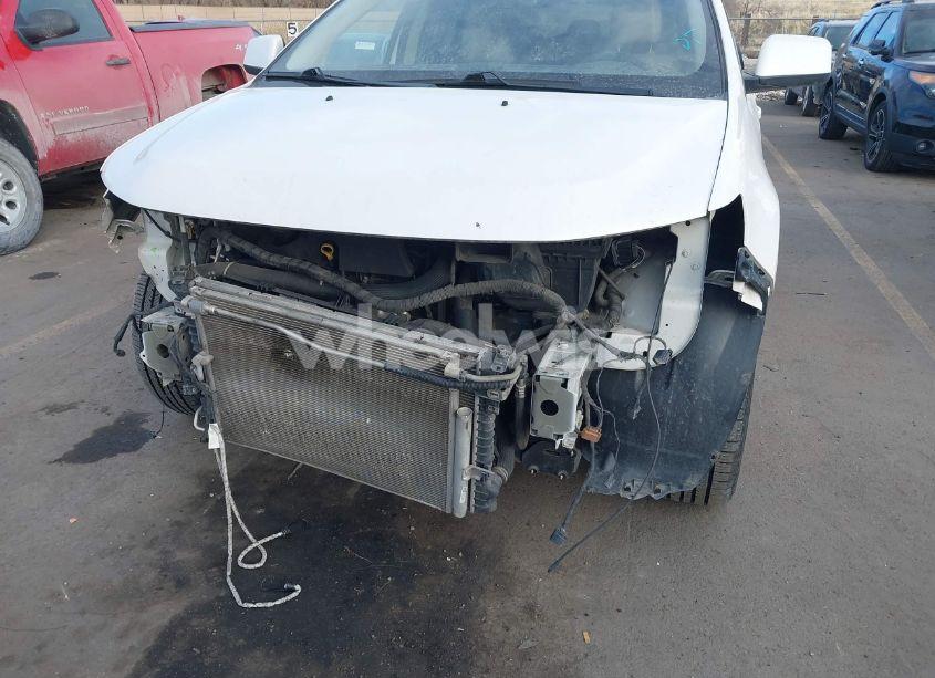 Photo 6 of 2011 Ford Edge LIMITED (VIN 2FMDK4KC0BBA53188)