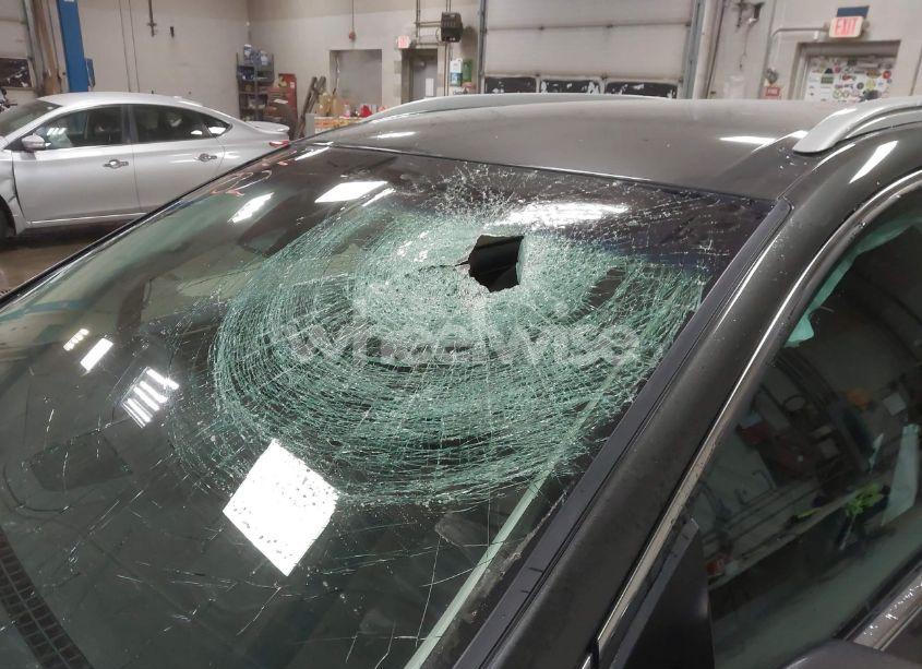 Photo 22 of 2019 Ford Edge SEL (VIN 2FMPK3J92KBC32443)