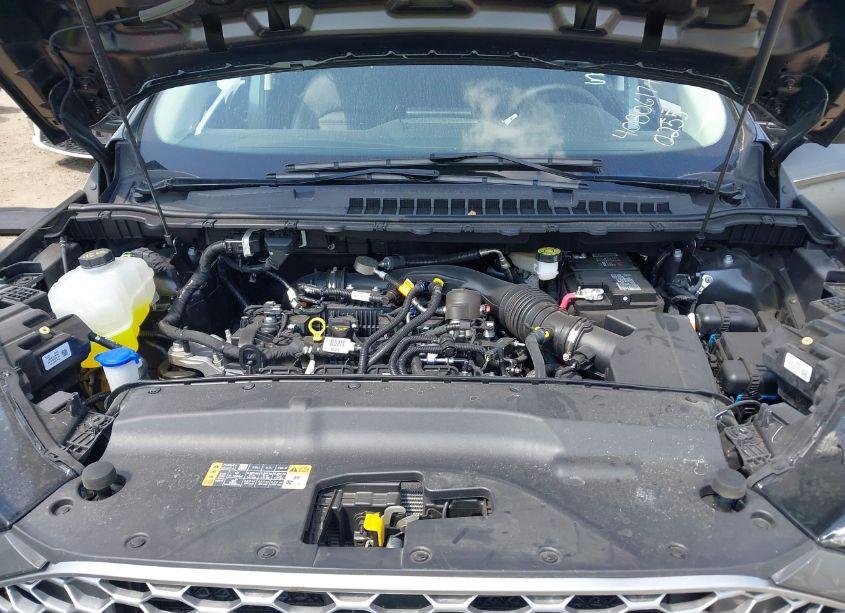 Photo 10 of 2024 Ford Edge SEL (VIN 2FMPK4J9XRBB00255)