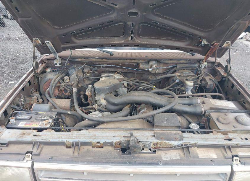 Photo 10 of 1988 Ford F150 (VIN 2FTDF15N5JCA00418)