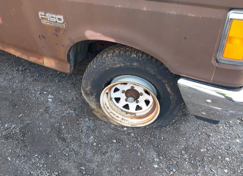 Photo 6 of 1988 Ford F150 (VIN 2FTDF15N5JCA00418)