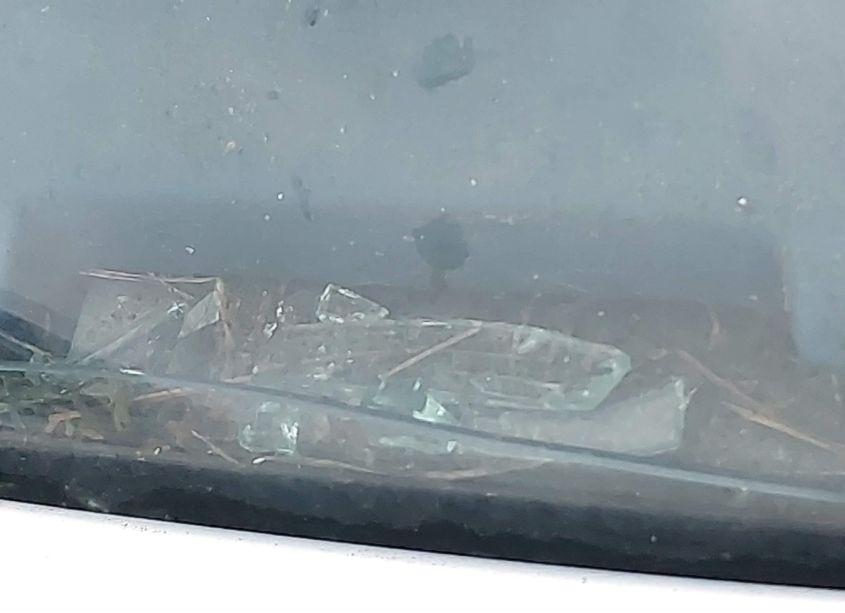 Photo 9 of 1986 Ford F150 N/A (VIN 2FTDF15N7GCB63905)