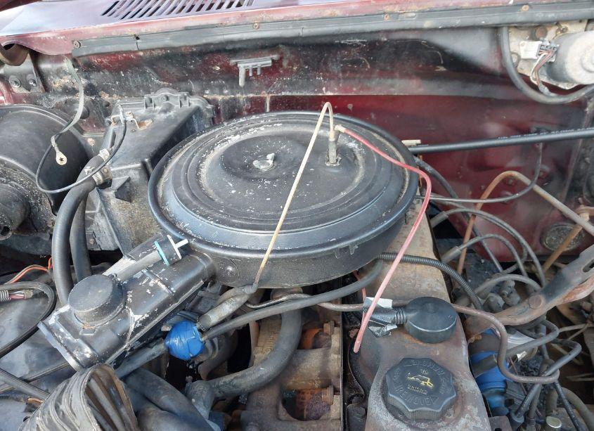 Photo 10 of 1983 Ford F150 (VIN 2FTDF15Y1DCA92898)