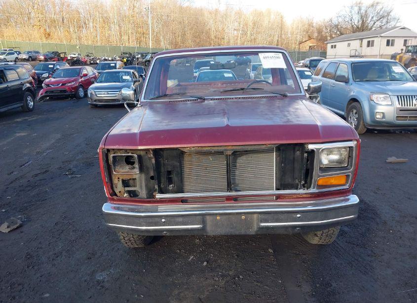 Photo 12 of 1983 Ford F150 (VIN 2FTDF15Y1DCA92898)