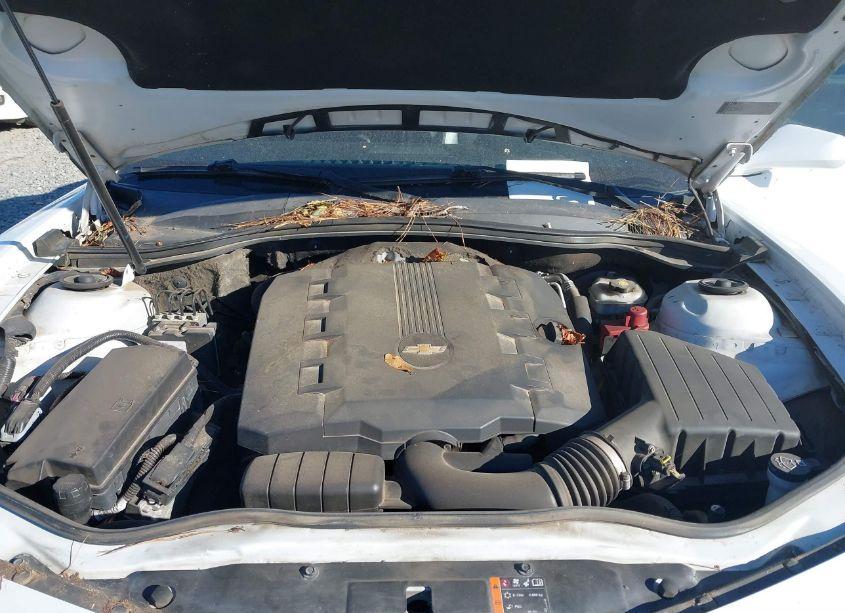 Photo 10 of 2011 Chevrolet Camaro 2LT (VIN 2G1FC1ED1B9152941)