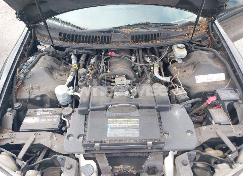 Photo 10 of 1998 Chevrolet Camaro Z28 (VIN 2G1FP22G2W2131930)