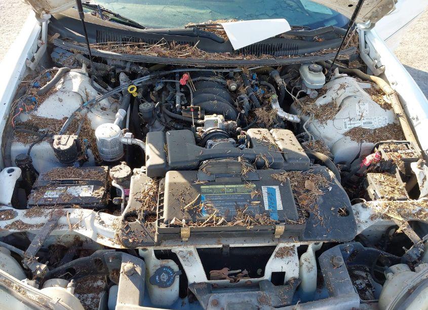 Photo 10 of 2001 Chevrolet Camaro Z28 (VIN 2G1FP22G312123134)