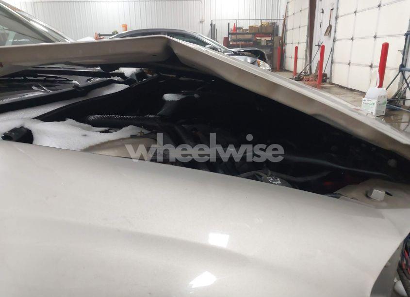 Photo 10 of 2008 Chevrolet Impala LS (VIN 2G1WB55K181202494)