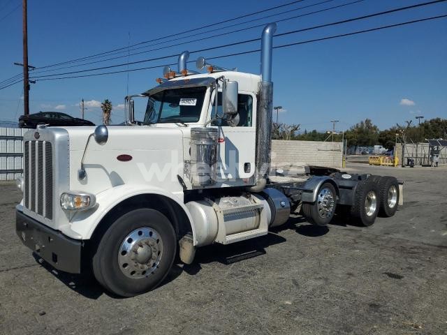 Photo 6 of 2019 PETERBILT 389 SEMI TRUCK (VIN 2G1WD5E36E1167868)