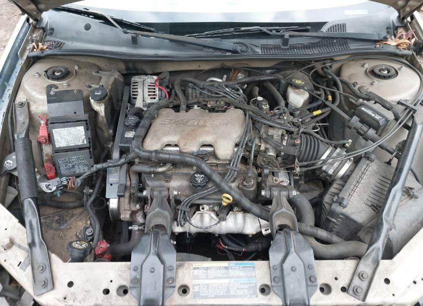 Photo 10 of 2005 Chevrolet Impala (VIN 2G1WF52E059233980)