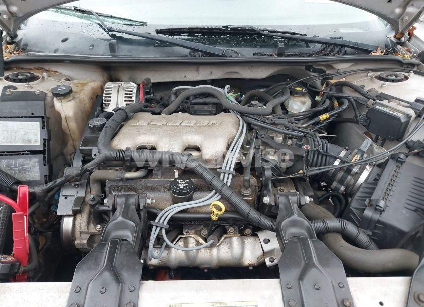 Photo 10 of 2004 Chevrolet Impala (VIN 2G1WF52E449328962)